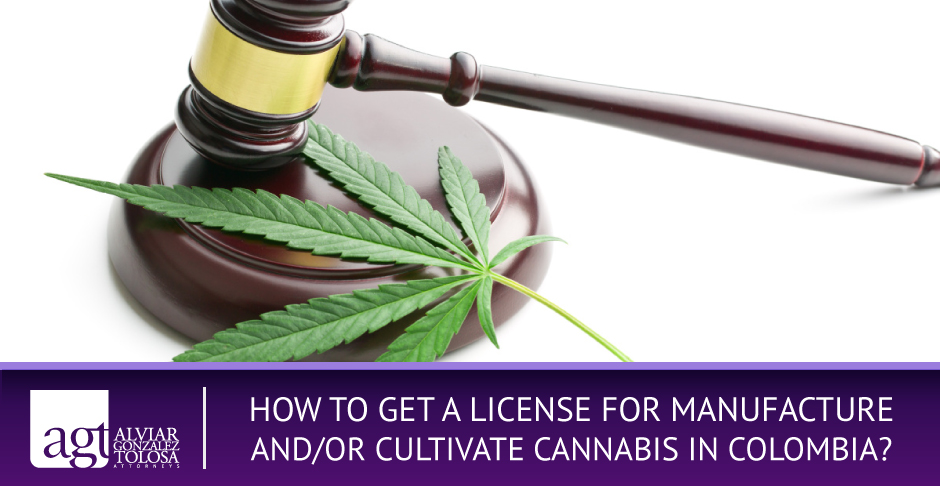 Cannabis Law in Colombia