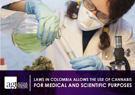 Woman Making Experiments With Cannabis