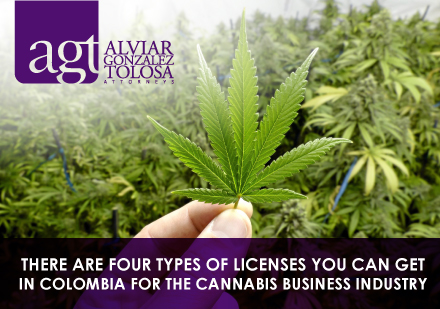 Holding a Marihuana Leaf