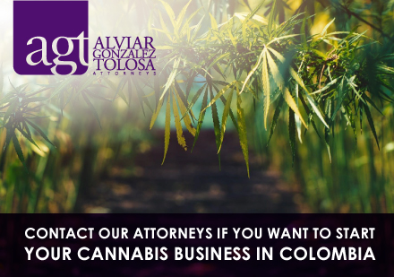 Contact Our Attorneys if you're Considering to Apply for a Cannabis License in Colombia Signing a Marriage Document With an Attorney