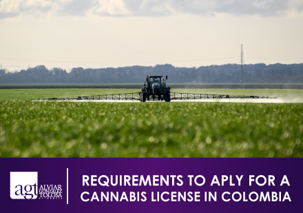 Requirements to Apply for a Cannabis License in Colombia Cannabis Leaf Field in Colombia