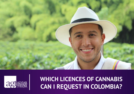 Which Licences of Cannabis Can I Request in Colombia? Colombian Guy With Cannabis Lands