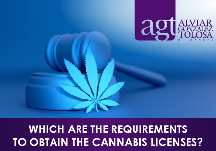 Blue Cannabis With a Gavel