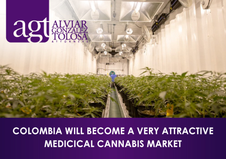 Cannabis Cultivations