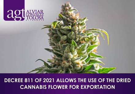 Cannabis Flower in Colombia