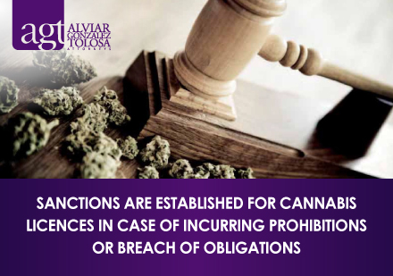 Cannabis Dried Flowers and Gavel