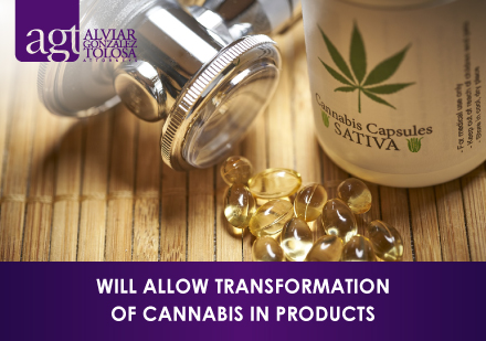 Cannabis Medicine
